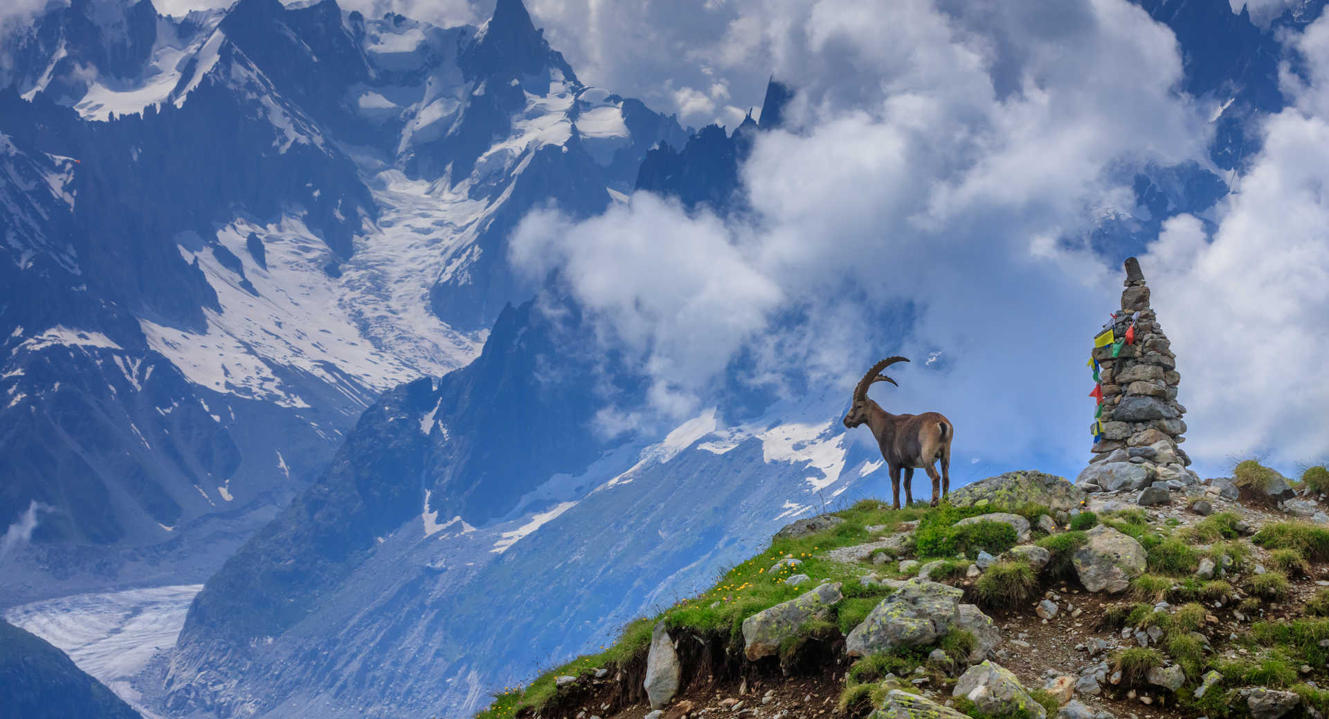 A7 ココバット A TOURIST GUIDE TO COCOBAT+MICH A7 Cocobat / A Tourist Guide to Cocobat + Mich