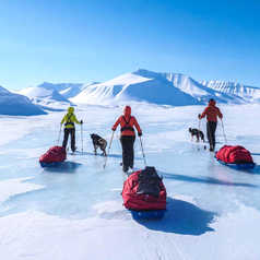 Ski Pulka on ice floe in Svalbard