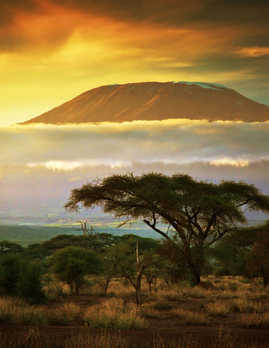 Mt Kilimanjaro with clouds and sunset