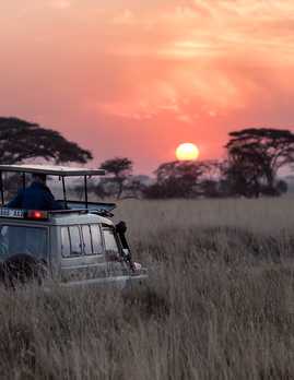 Sunrise during a Safari