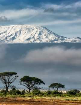 Tanzanian savannah overlooked by Mount Kilimanjaro