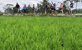 Batur to Ubud Cycling