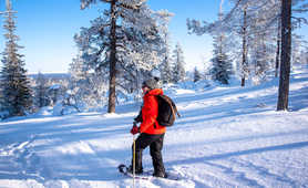Snowshoeing-in-a-wintery-wonderland