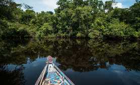 Wooden boat floating on the river through the rainforest in Guyana