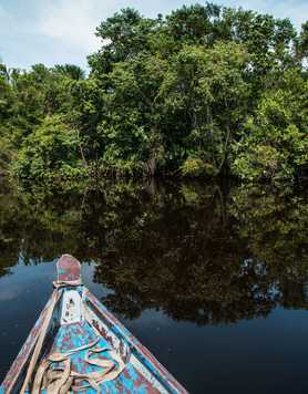 Wooden boat floating on the river through the rainforest in Guyana