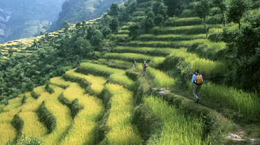 Annapurna luxuriant balconies