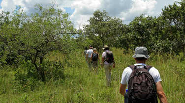 bush-walks-at-ziwa-rhino-sanctuary