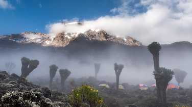 Fog at Kilimanjaro Barranco camp
