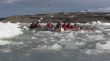 Group of kayak among iceberg