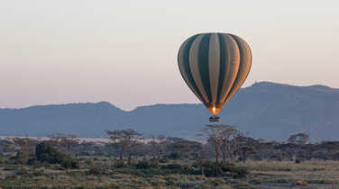 Hot air balloon at dawn over the Serengeti National Park