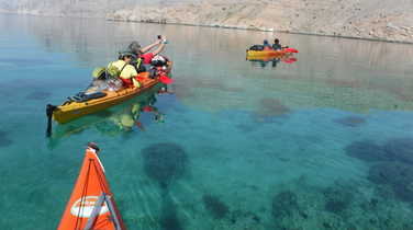 Kayaking in Musandam fjords