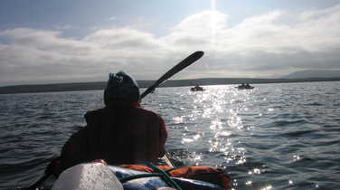 Kayaking in Svalbard