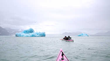 Sea kayaking among blue icebergs