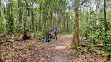 taking-a-break-in-the-forest