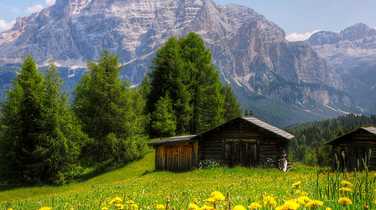 Traditional-chalet-in-an-alpine-meadow
