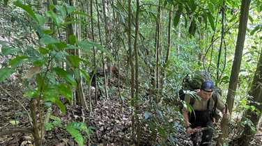 trekking-through-the-rainforest