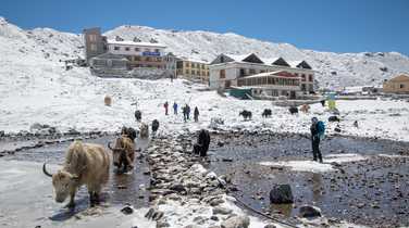 Yak-herd-at-snowy-himalayan-village