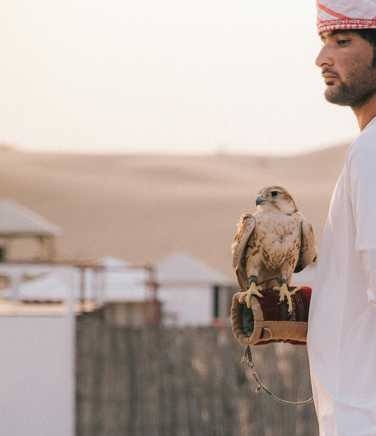 arabian-falconry-show