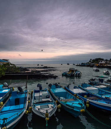 Boats moored in Puerto Ayora harbour