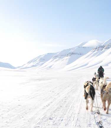 Dog sledding in Arctic, Spitsbergen