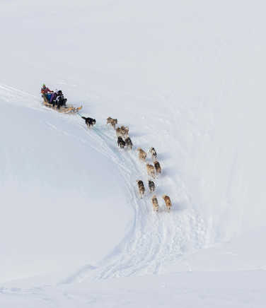 Dogsledding-through-the-Greenlandic-wilderness