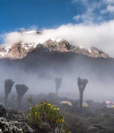 Fog at Kilimanjaro Barranco camp