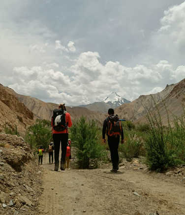 greenery-amidst-the-arid-landscape