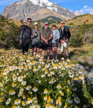 Meadow in Torres del Paine