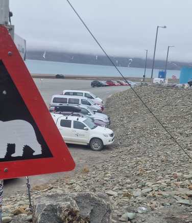 Polar bear sign in Longyearbyen