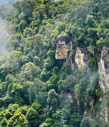 steep-cliffs-surrounding-the-tepui