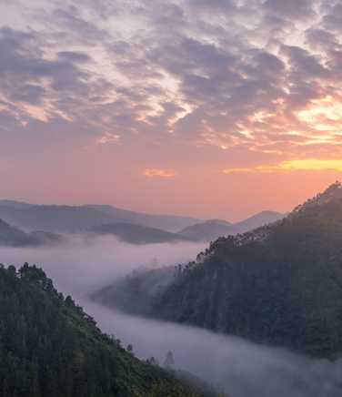 Sunset over Bwindi Impenetrable Forest Uganda
