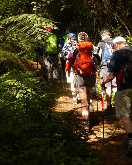 Hikers during the Kilimanjaro ascent