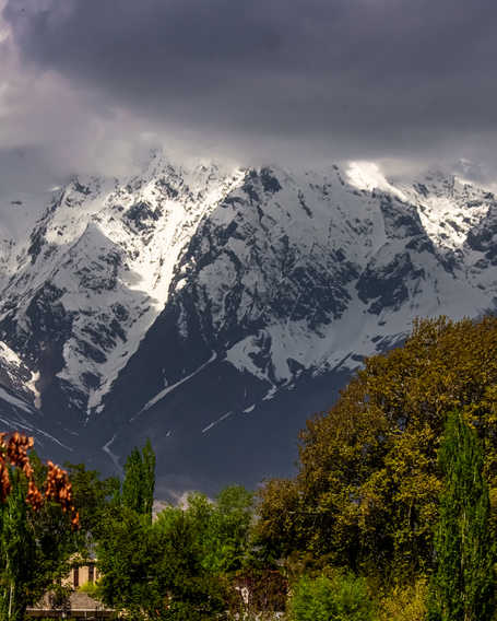 Mountains and trees in blossom Skardu