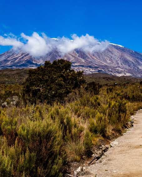 Rongai Route, Kilimanjaro