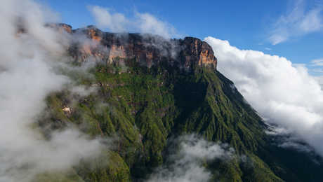 Auyan Tepui in the clouds Guyana