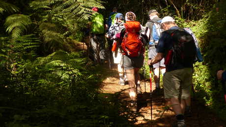 Hikers during the Kilimanjaro ascent