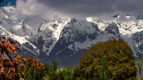 Mountains and trees in blossom Skardu