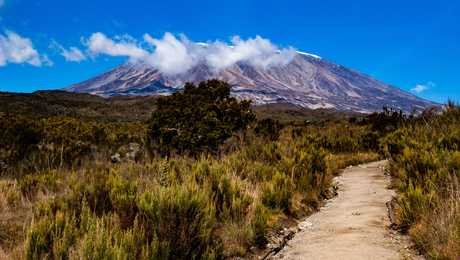 Rongai Route, Kilimanjaro