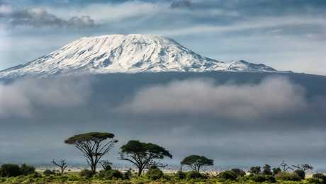 Tanzanian savannah overlooked by Mount Kilimanjaro