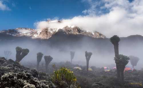 Fog at Kilimanjaro Barranco camp