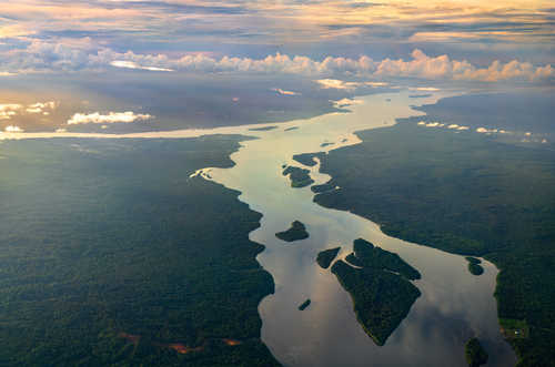 River in the Amazon Basin