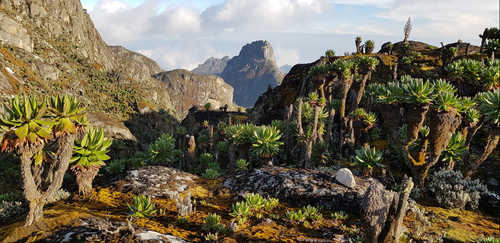 The Rwenzori Mountains in Uganda