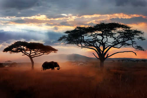 Ultimate Tanzania, Serengeti National Park