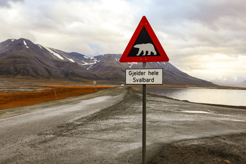 Warning, Polar Bear sign in Svalbard