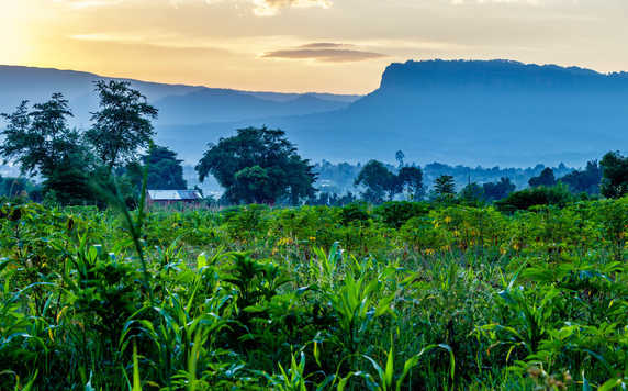 Fields with Mount Elgon in the background