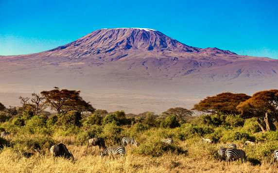 Kilimanjaro National Park, Tanzania