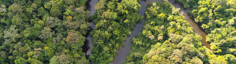 amazon-river-from-above