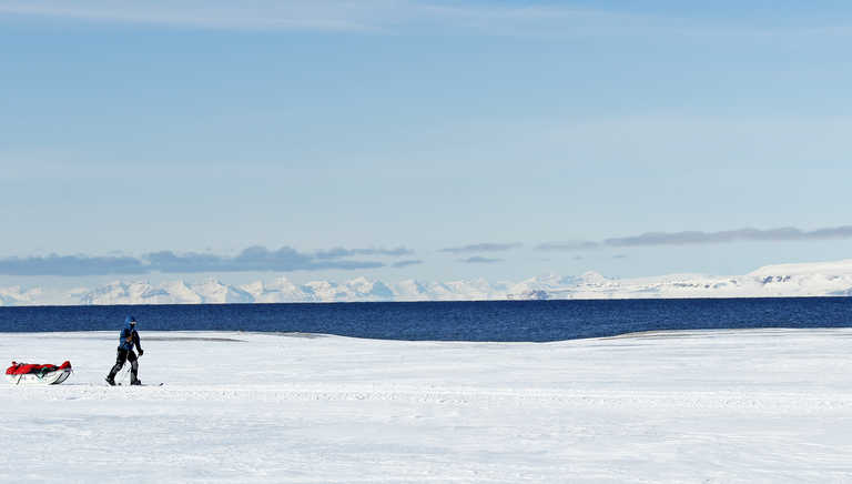 Skiing with pulka in Arctic