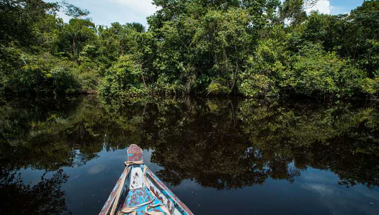 Wooden boat floating on the river through the rainforest in Guyana