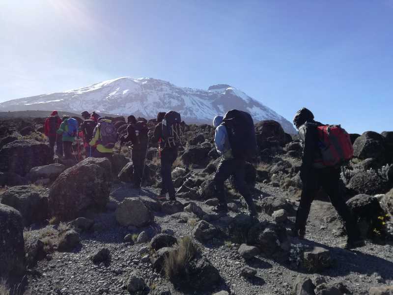 Hikers climbing Mount Kilimanjaro